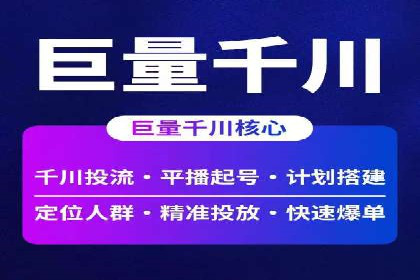 百度竞价运营的挑战与机遇：成功案例探讨